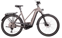 HERCULES Futura Max I-12 750 Wh 85Nm silber-matt