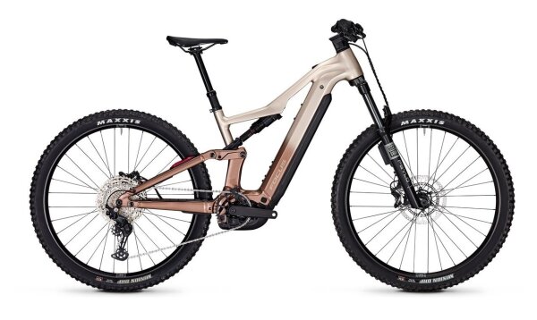 Focus THRON² 6.8 ABS Adamantsilver / Platinumbronze 85 Nm 800Wh