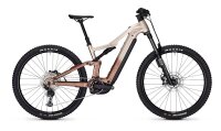 Focus THRON² 6.8 ABS Adamantsilver / Platinumbronze...