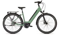 Kalkhoff IMAGE 3 EXCITE 29WA F GRE 625WH 75 Nm
